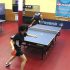 What Is The Purpose Of Table In Table Tennis?