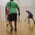 When Was Racquetball Invented?