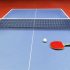 How Big Should A Table Tennis Table Be?