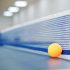 What Are The Dimensions Of A Table Tennis Table?