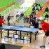 What Is The Use Of Table In Table Tennis?