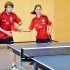 How Much Does A Table Tennis Table Cost?