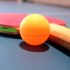 Why Do Table Tennis Players Touch The Table?