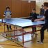 Which Is The Best Outdoor Table Tennis Table?