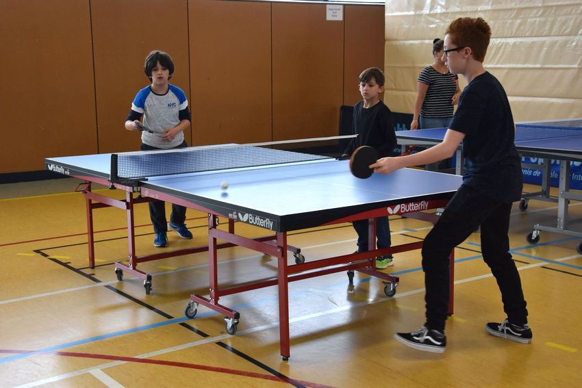 Which Is The Best Outdoor Table Tennis Table?