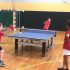 Which Table Tennis Table To Buy?