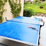 Blue Outdoor Ping Pong Table
